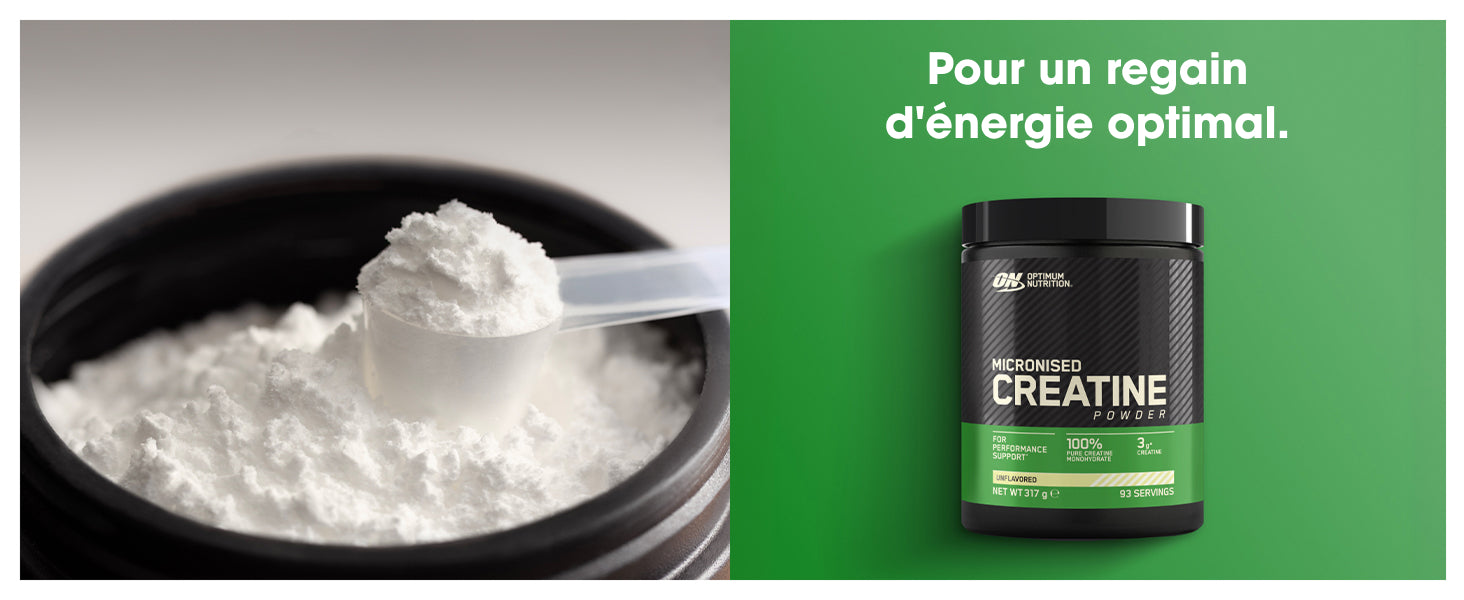 Optimum Nutrition Créatine Monohydrate 05