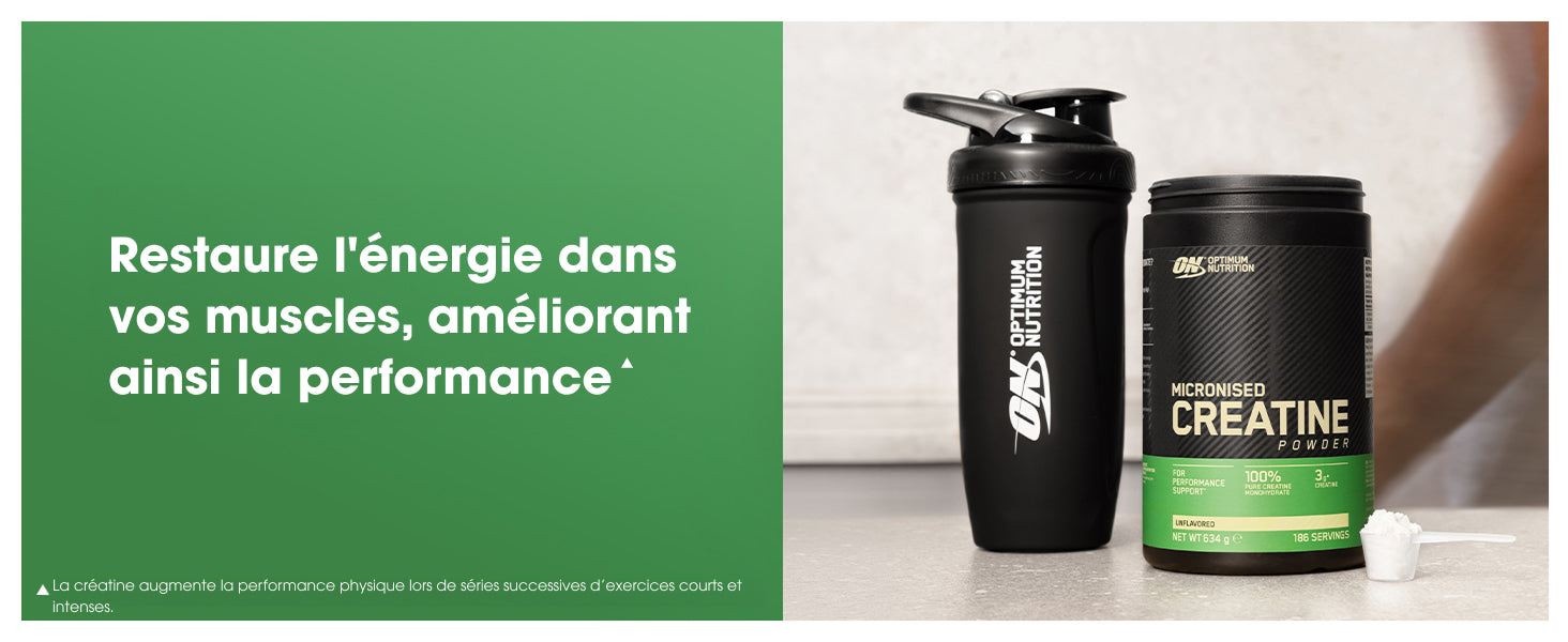 Optimum Nutrition Créatine Monohydrate 05