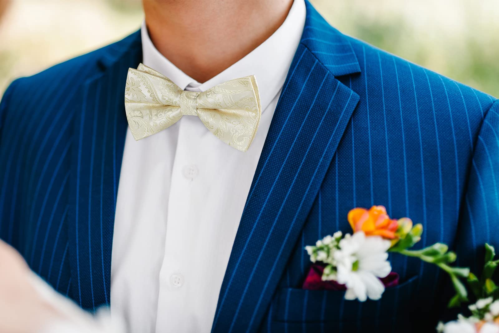 Nœud Papillon K Champagne-2 G