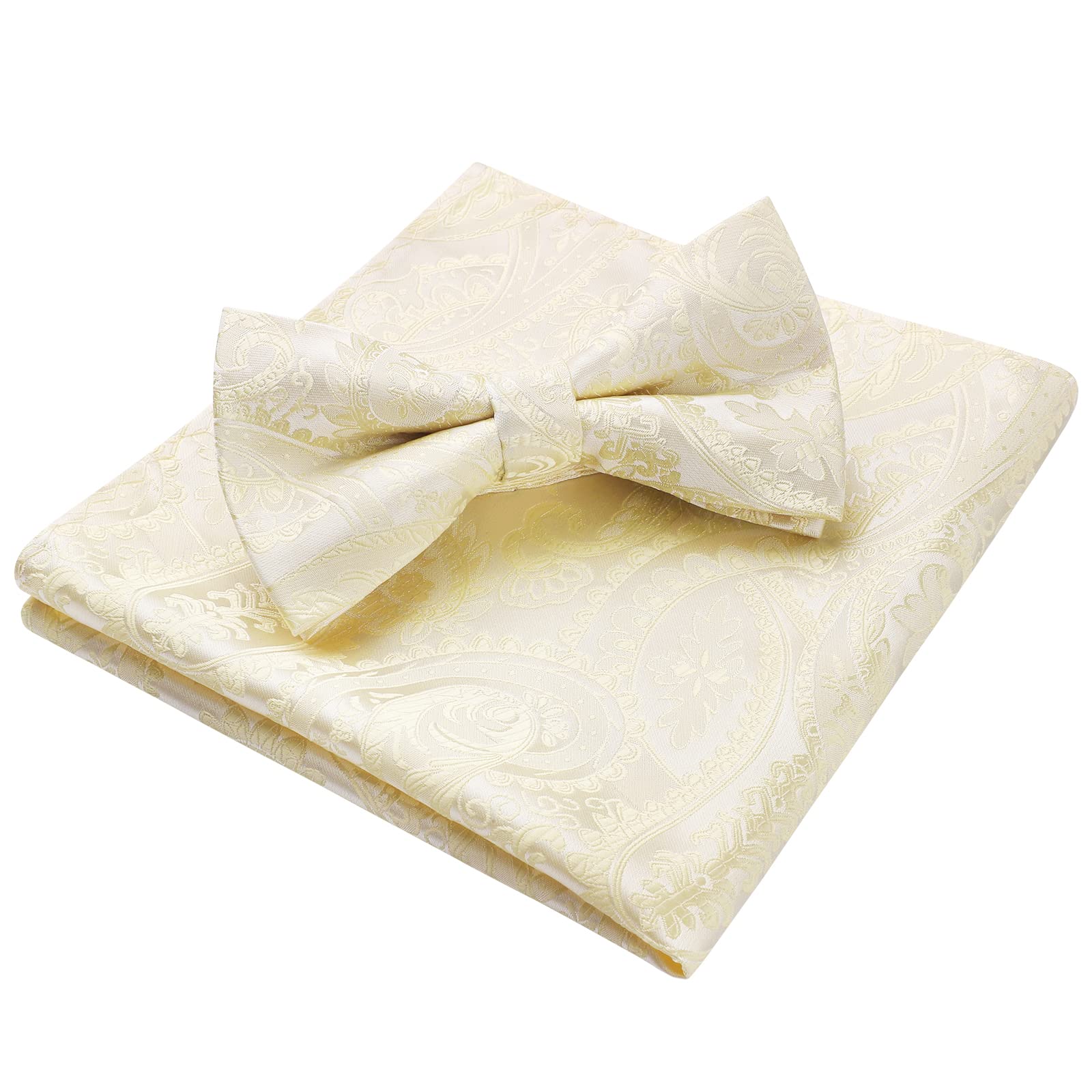 Nœud Papillon K Champagne-2 G