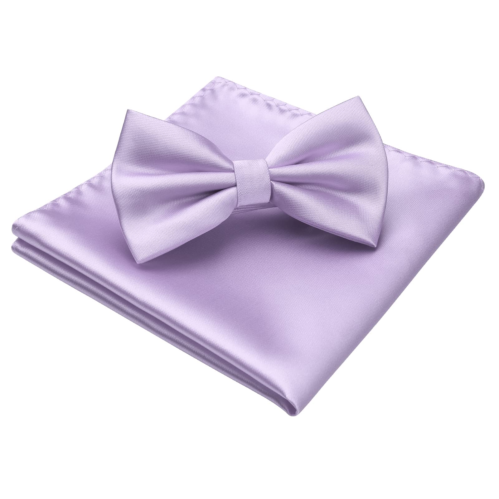 Nœud Papillon H Lilas G