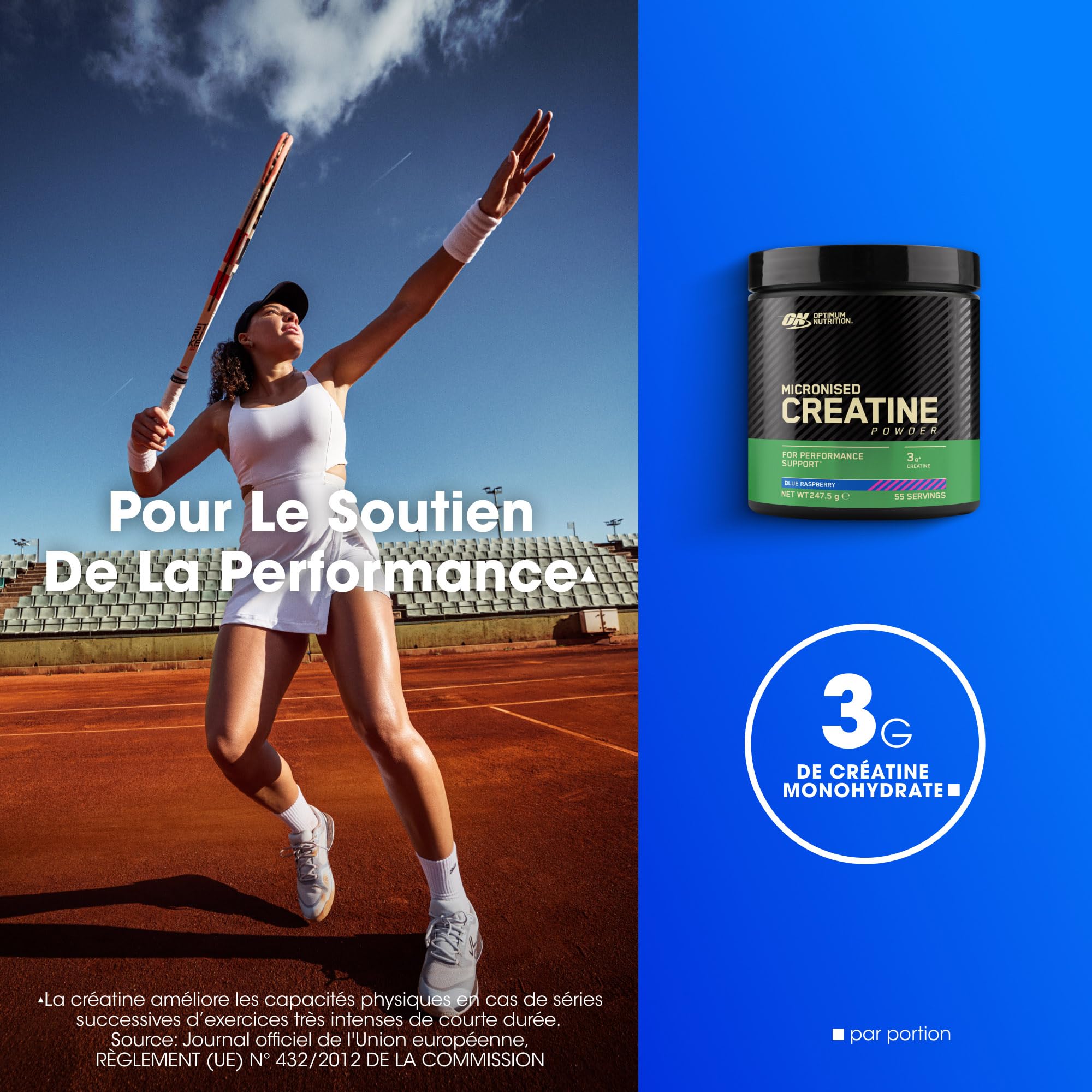 Optimum Nutrition Créatine Monohydrate 05