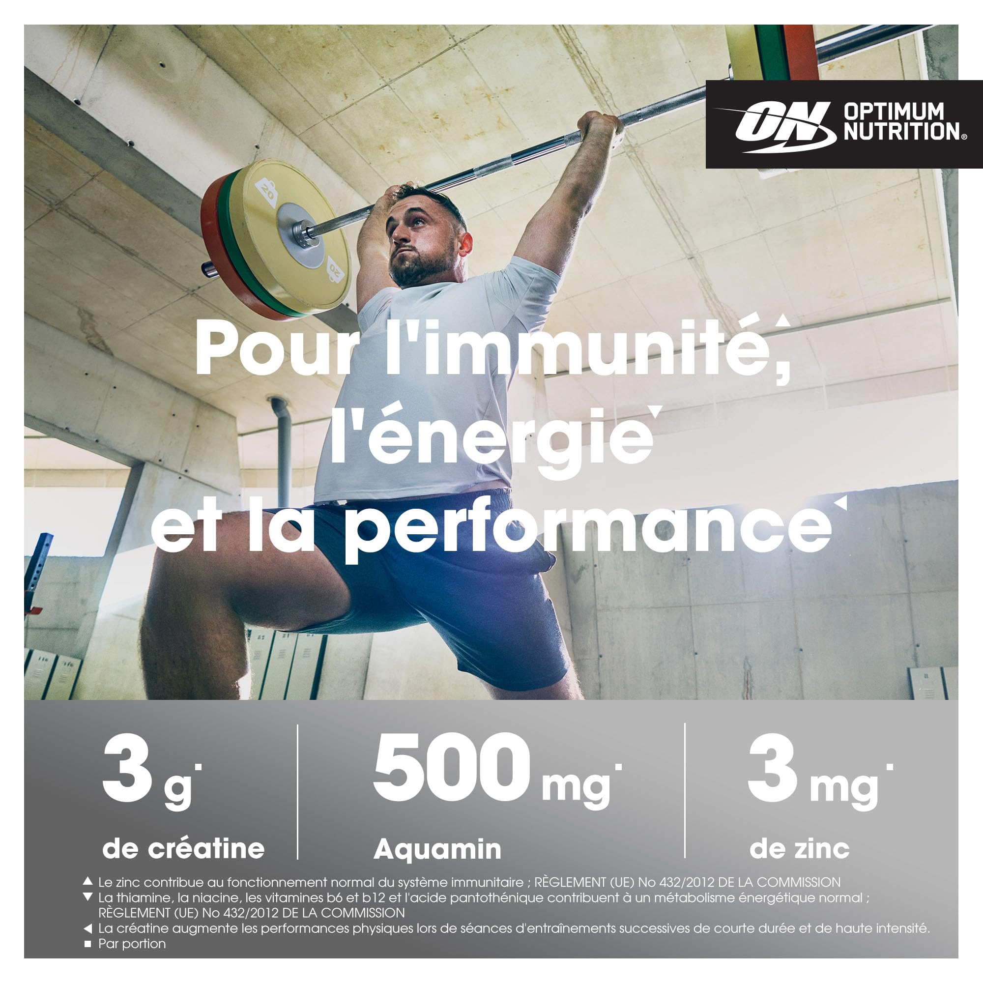 Optimum Nutrition Créatine Monohydrate 05