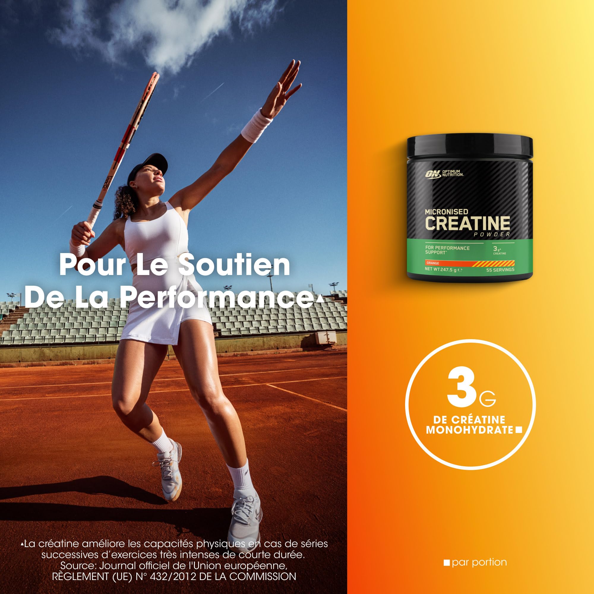 Optimum Nutrition Créatine Monohydrate 05