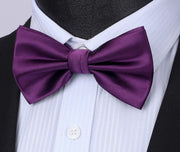 Nœud Papillon H Violet-1 G