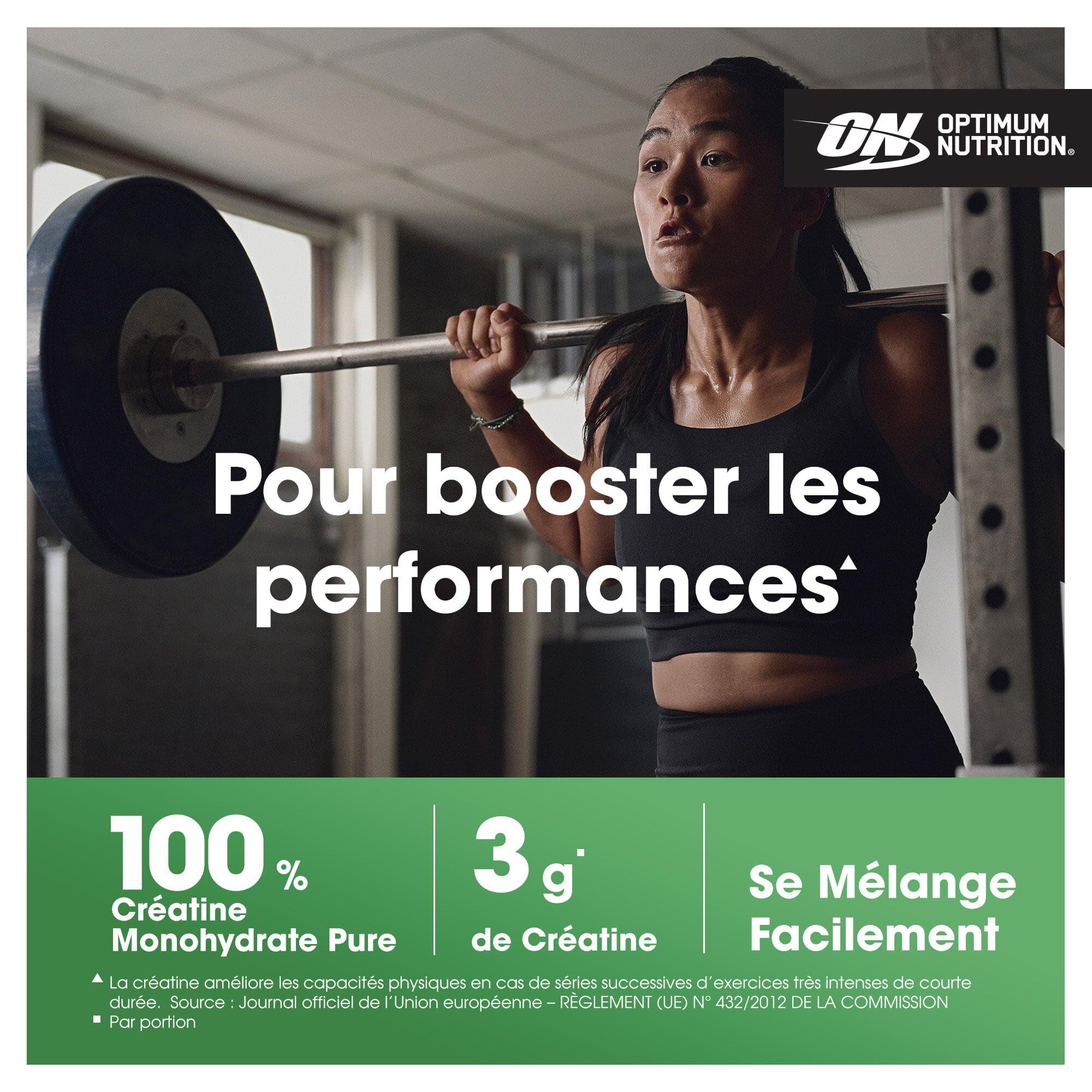 Optimum Nutrition Créatine Monohydrate 05