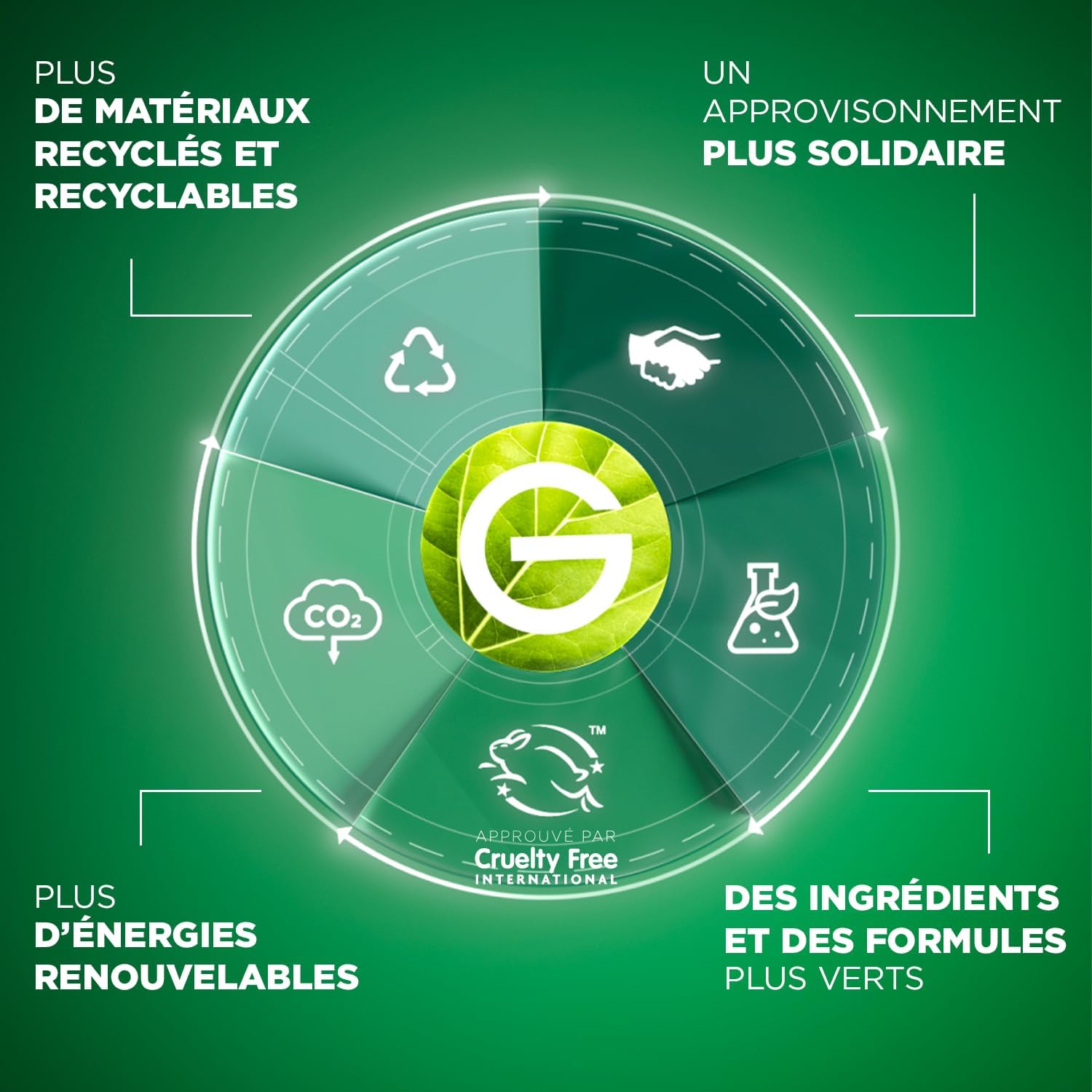 Garnier Sérum + Masques Tissus E